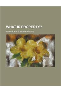 What Is Property?