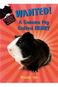 Wanted! a Guinea Pig Called Henry