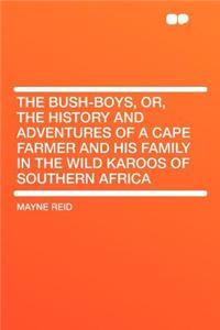 The Bush-Boys, Or, the History and Adventures of a Cape Farmer and His Family in the Wild Karoos of Southern Africa