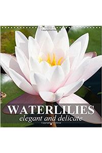 Waterlilies - Elegant and Delicate 2017