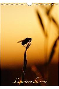 Lumiere Du Soir 2018