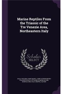 Marine Reptiles From the Triassic of the Tre Venezie Area, Northeastern Italy