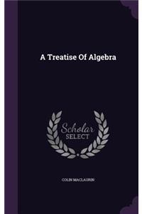 A Treatise Of Algebra