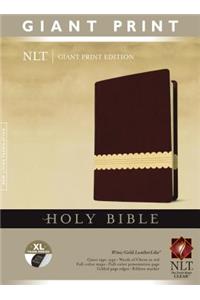 Giant Print Bible-NLT