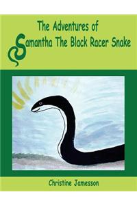 The Adventures of Samantha The Black Racer Snake