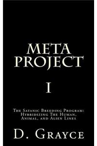 Meta Project