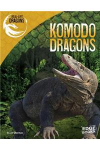 Komodo Dragons