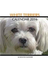 White Terriers Calendar 2016