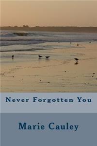 Never Forgotten You