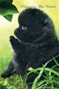 Pomeranian May Notebook Pomeranian Record, Log, Diary, Special Memories, To Do List, Academic Notepad, Scrapbook & More