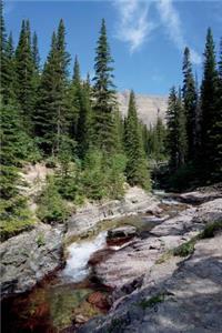 Scenic Landscape of Montana Journal