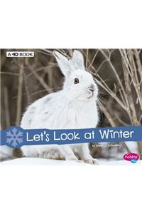 Let's Look at Winter