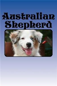 Australian Shepherd