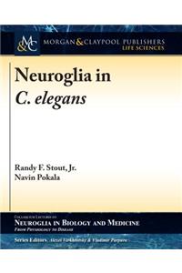 Neuroglia in C. elegans