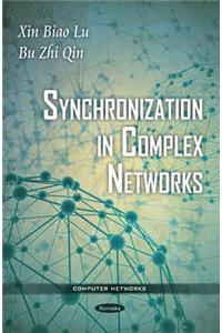 Synchronization in Complex Networks