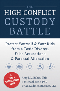 High-Conflict Custody Battle