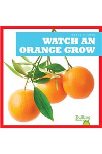 Watch an Orange Grow