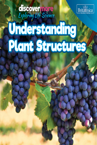 Understanding Plant Structures
