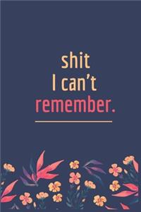 Shit I Can't Remember