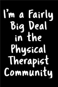 I'm a fairly big deal in the physical therapist community