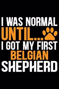 I Was Normal Until I Got My First Belgian Shepherd