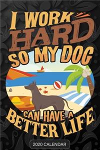 I Work Hard So My Dog Can Have A Better Life