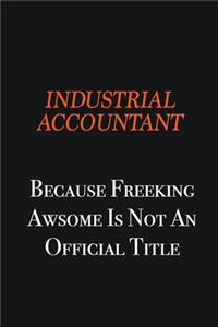 Industrial Accountant because freeking awsome is not an official title