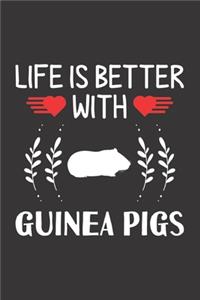 Life Is Better With Guinea Pigs