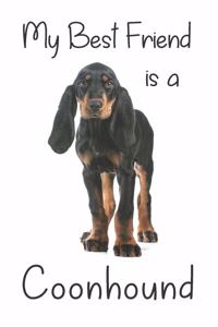 My best Friend is a Coonhound
