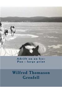 Adrift on an Ice-Pan