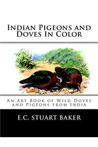 Indian Pigeons and Doves In Color