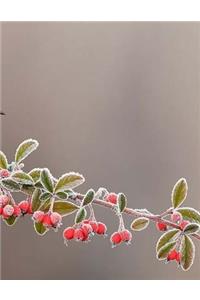 Christmas Notebook