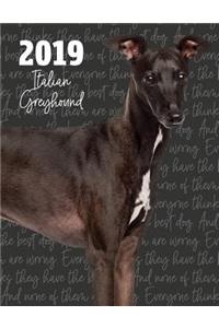 2019 Italian Greyhound: Dated Weekly Planner with to Do Notes & Dog Quotes - Italian Greyhound