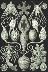 Haeckel Scientific Biological Art Notebook