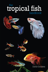 Tropical Fish Handbook