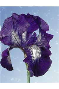 Purple Iris Notebook