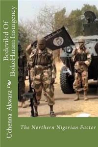 Bedeviled Of BokoHaram Insurgency