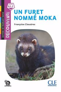 Decouverte