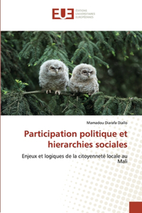 Participation politique et hierarchies sociales