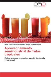 Aprovechamiento semiindustrial de frutas tropicales