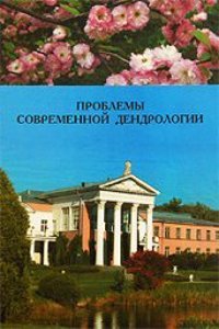 Pompeianische Studien zur Stadtekunde des Altertums