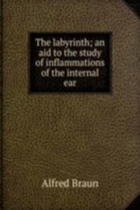 labyrinth; an aid to the study of inflammations of the internal ear