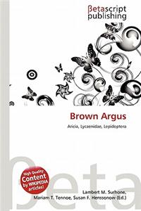 Brown Argus