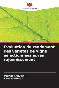 Évaluation du rendement des variétés de vigne sélectionnées après rajeunissement