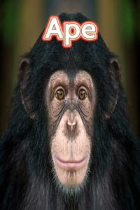 Ape