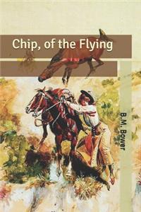 Chip, of the Flying