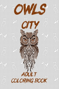 Owls City Coloring Book