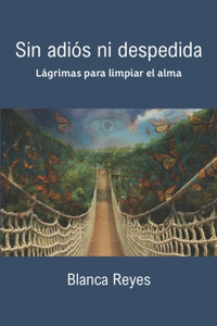 Sin adiós ni despedida