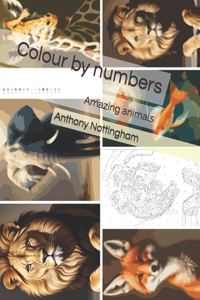 Colour by numbers