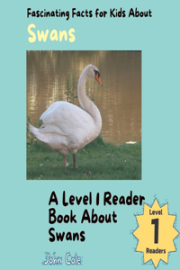 Fascinating Facts for Kids About Swans